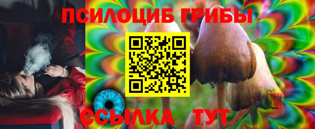 Псилоцибиновые грибы Magic Shrooms  Галлюциногенные грибы мицелий  Новокубанск  Вход с VPN 