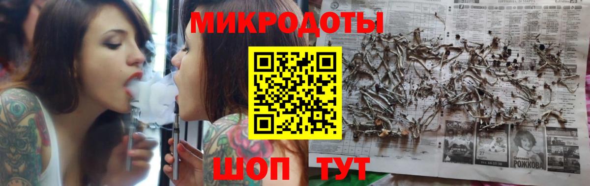 Галлюциногенные грибы Psilocybe Новокубанск