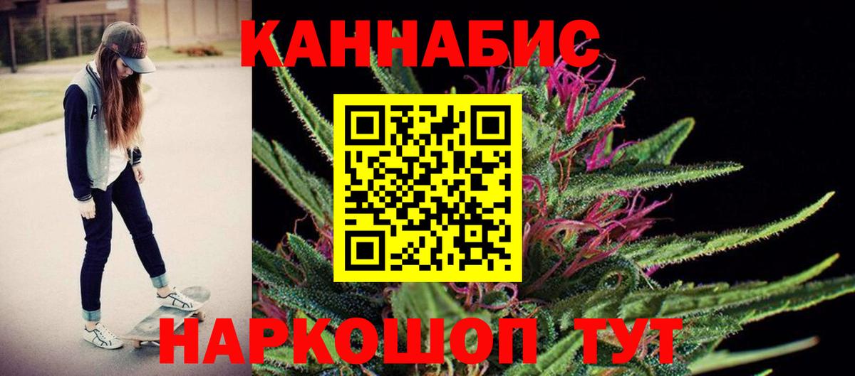 Каннабис планчик Новокубанск